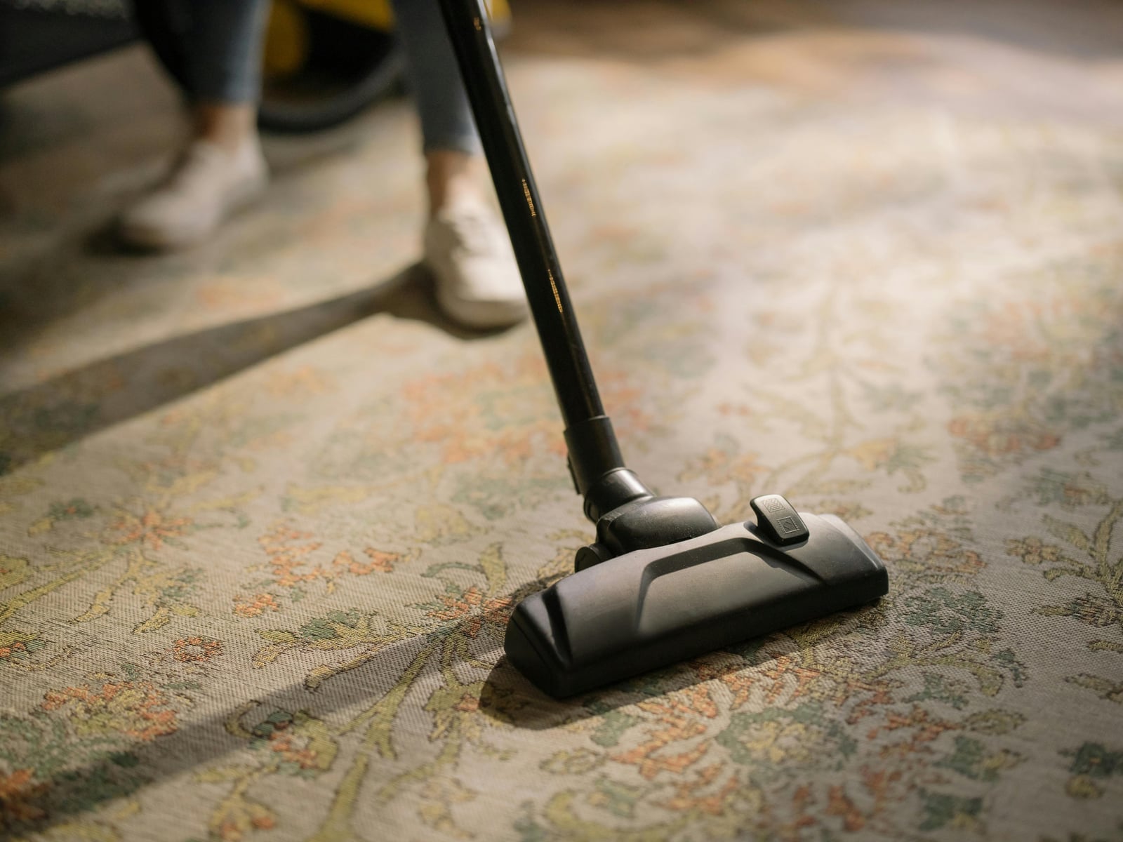 Professional carpet cleaning in progress