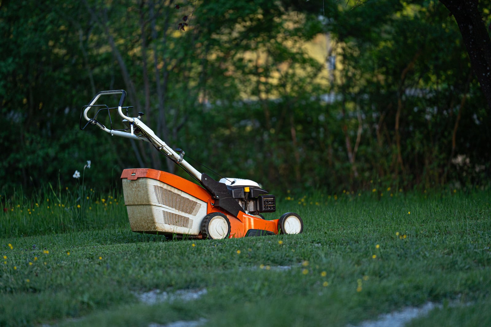 Lawn and landscape maintenance in progress
