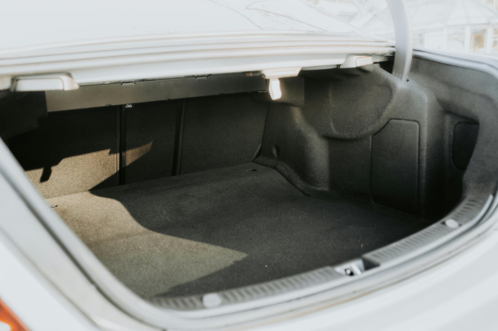 Trunk